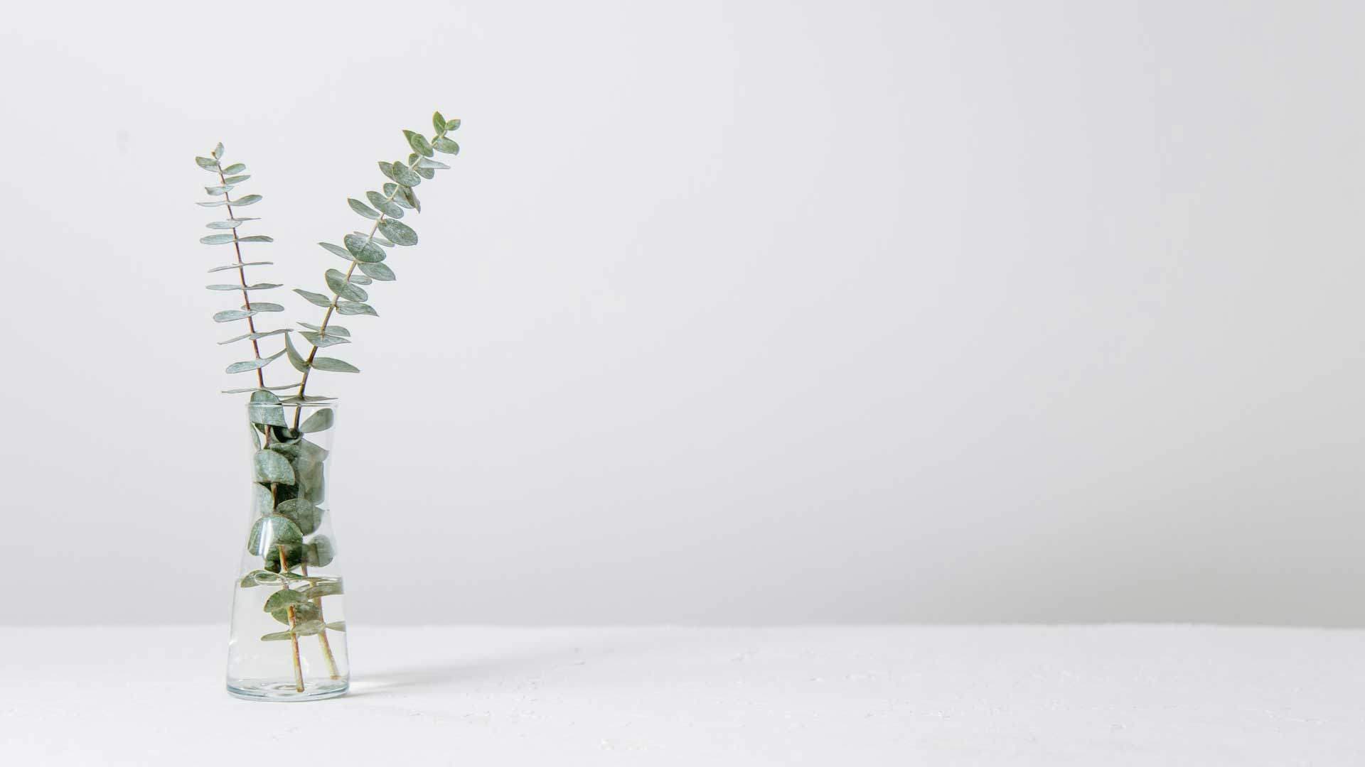 RN Aesthetics - Love Your Skin